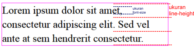 line height css
