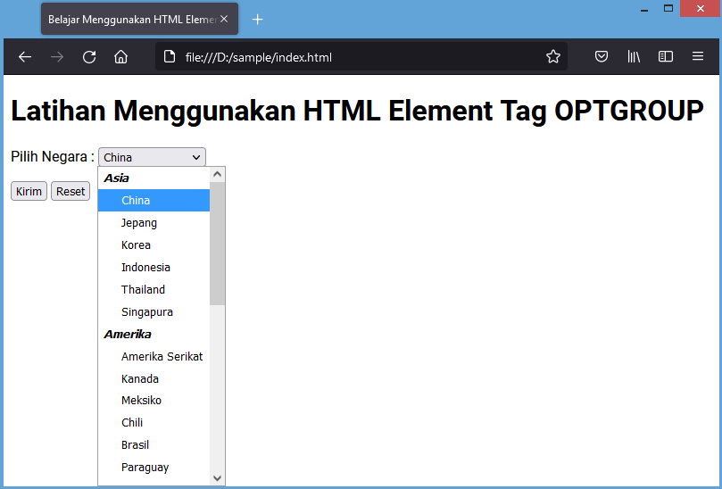 tag <optgroup> html