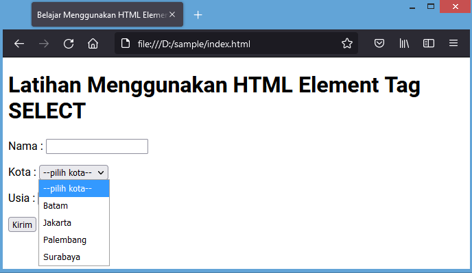 html element tag select